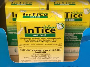 InTice Ant Bait
