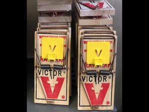 VICTOR Mouse Trap