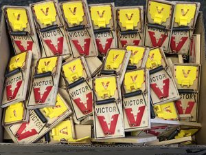 VICTOR Mouse Traps