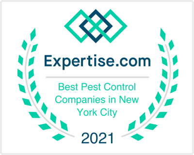 Expertise.com Best Pest Control award