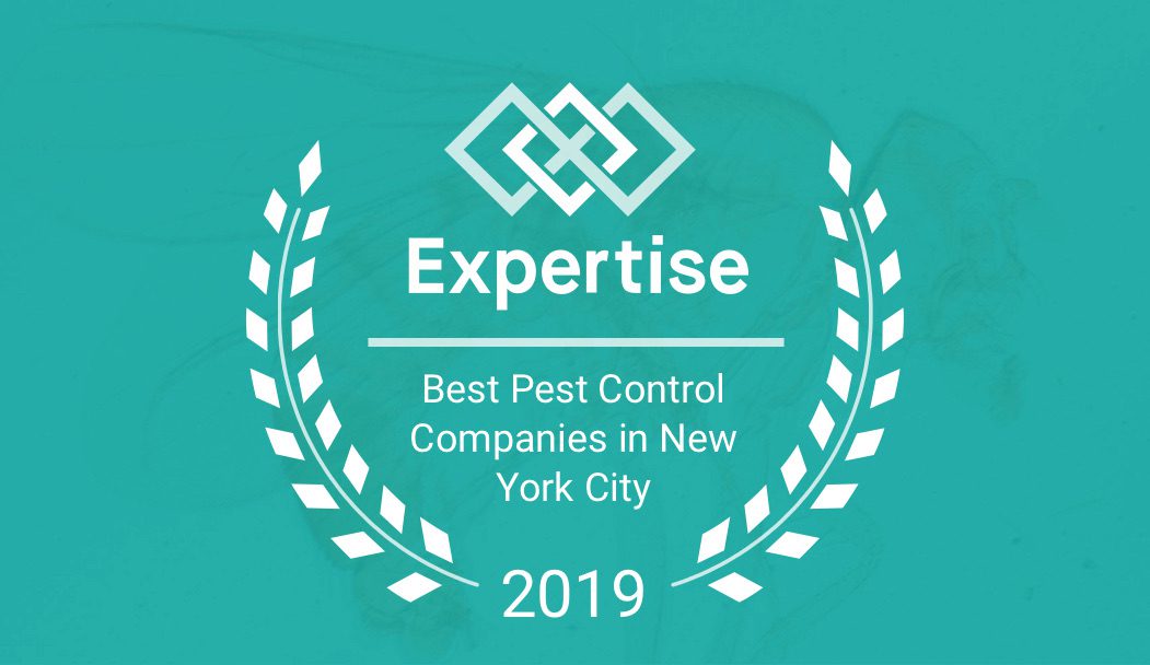 Expertise.com Best Pest Control award 2019